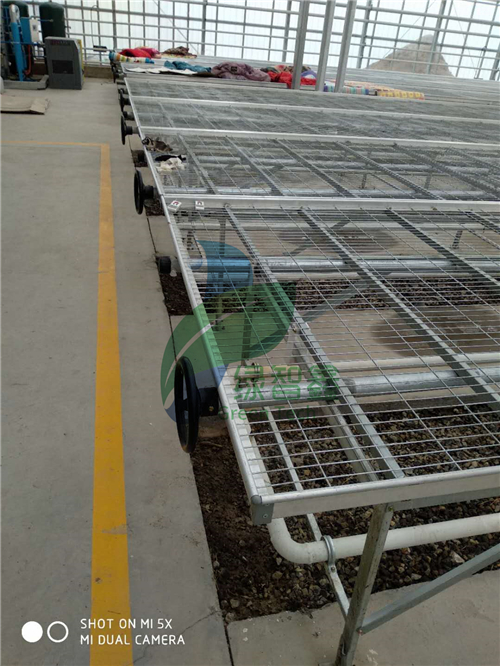 移動苗床施工注意事項(xiàng)